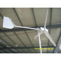 300w wind power generator on the rooftop low price